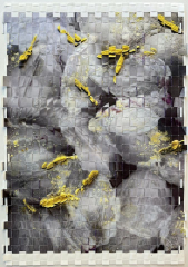 Teri Figliuzzi