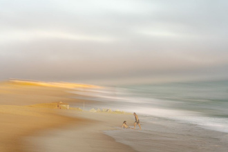 Hilary Bachelder